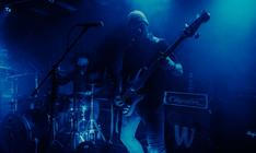 NMBF_1