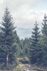 Kralický_Sněžník (2)