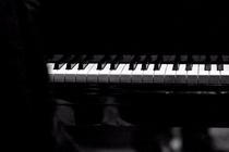 023ShaiMaestroTrio