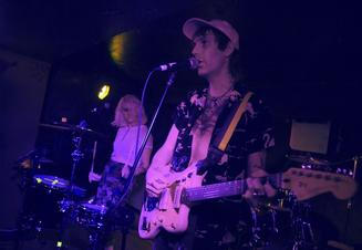 The Gooch Palms