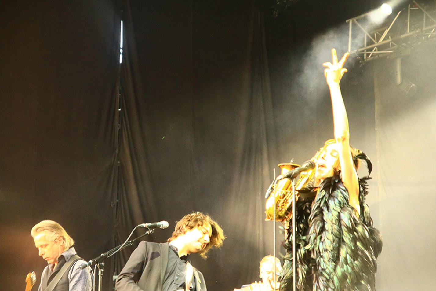 PJ Harvey