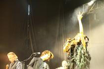 PJ Harvey