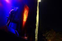 Wolves in the Throne Room