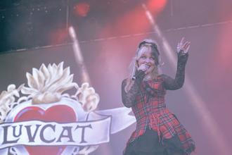 LUVCAT 1