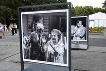 KVIFF_59_den_3_10