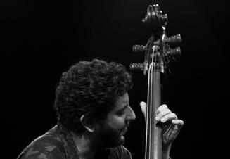 022OmerAvital