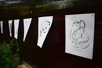 z výstavy Evy Rotreklové 1