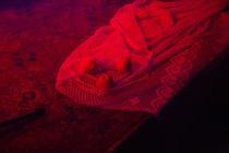 12_detail