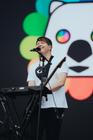 The Wombats