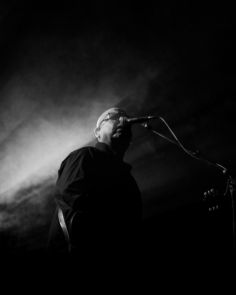 pixies-14