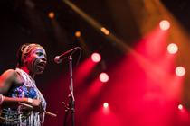 SEUN KUTI & EGYPT 80