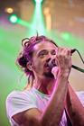 DSC_8066_soja