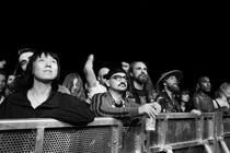 CROWD_6
