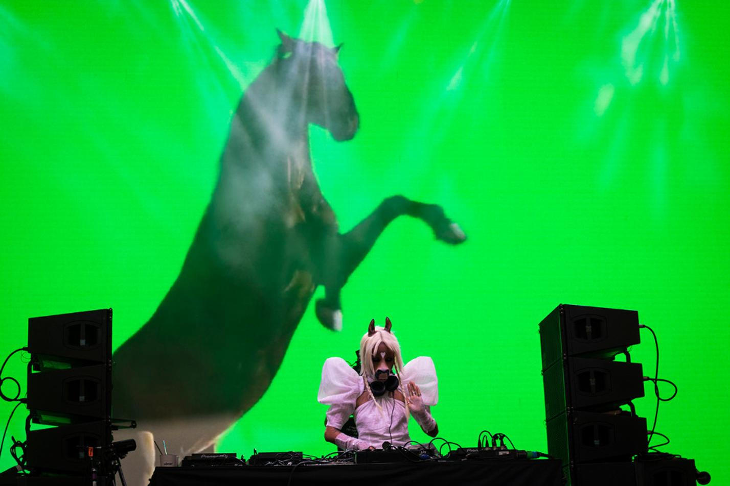 horsegiirl