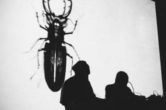 Dengue_Dengue_Dengue