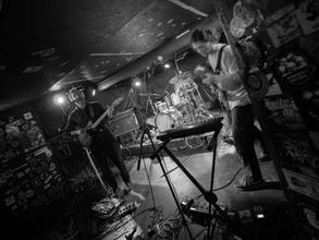 PleaseTheTrees_6
