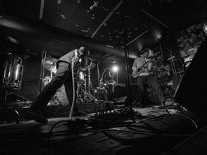 PleaseTheTrees_5