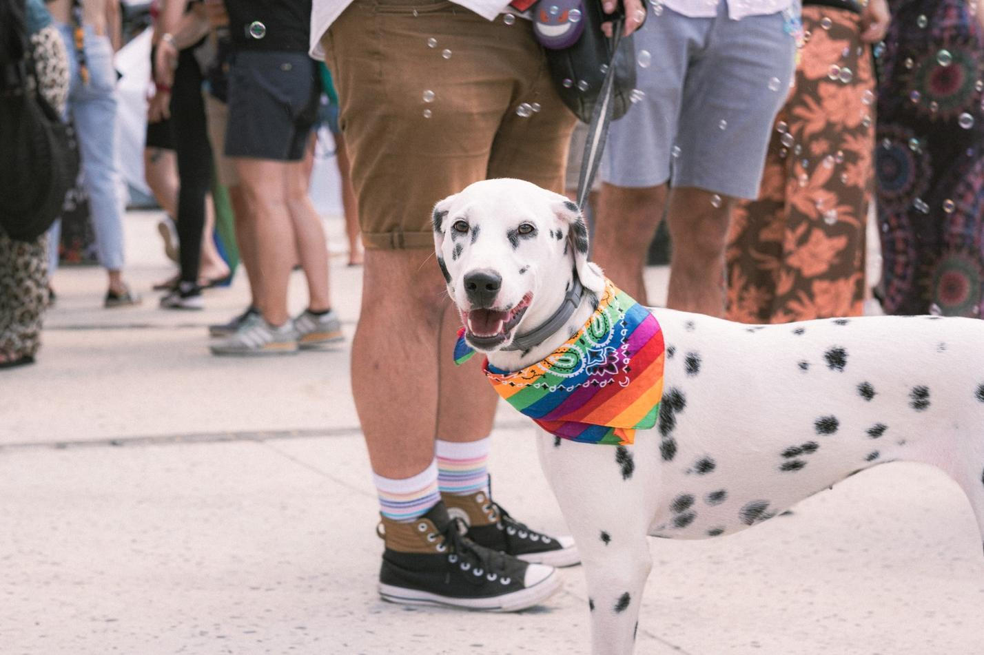 Pride27