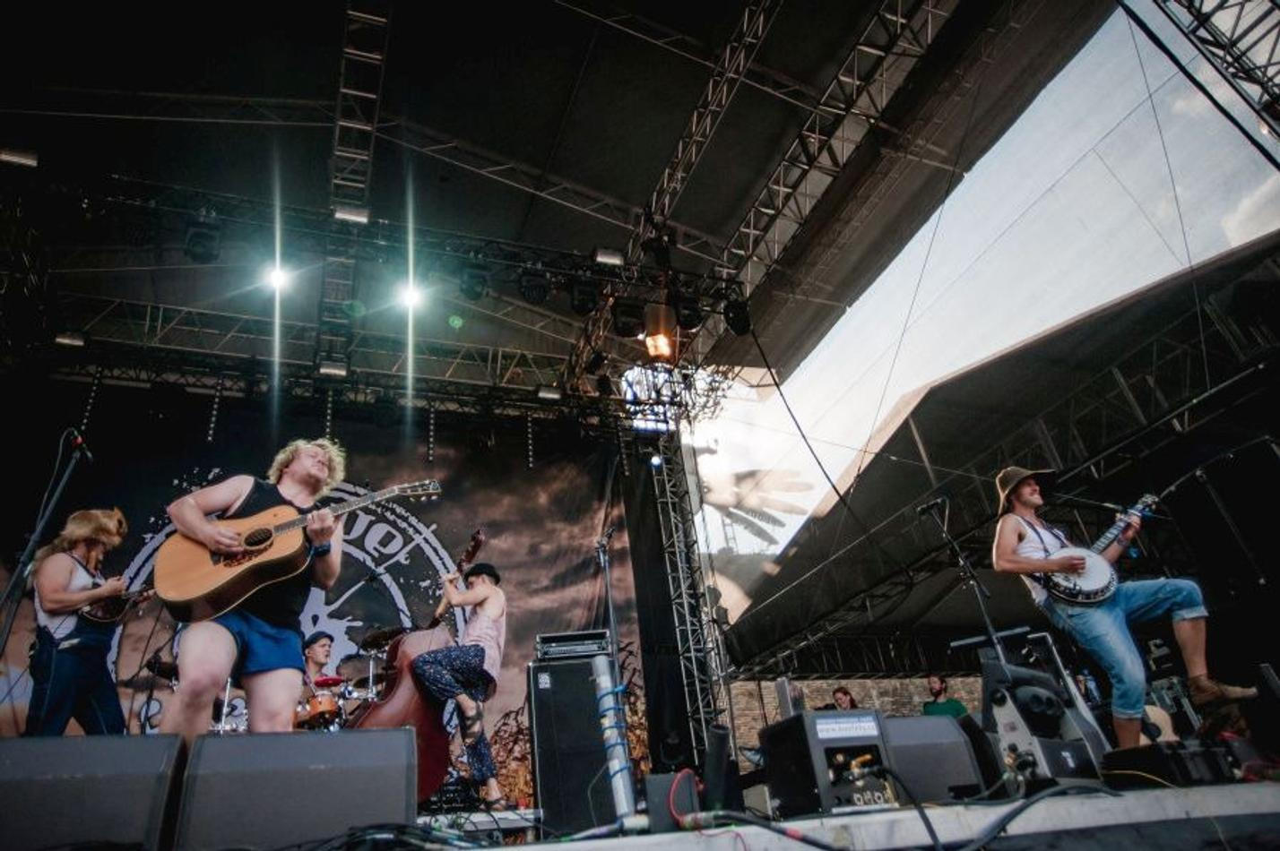 06_STEVENSEAGULLS