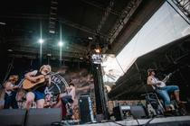 06_STEVENSEAGULLS