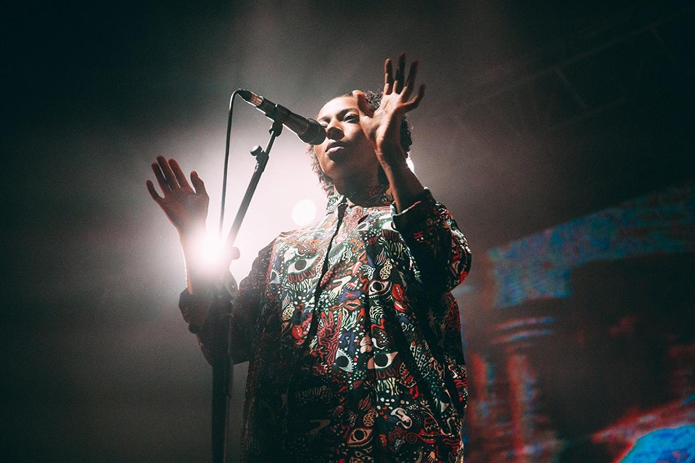 BONOBO2