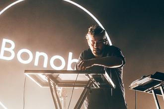 BONOBO7