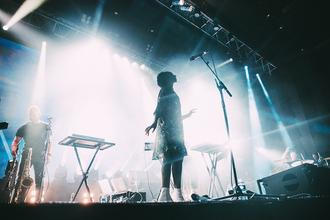 BONOBO8