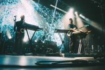 BONOBO6