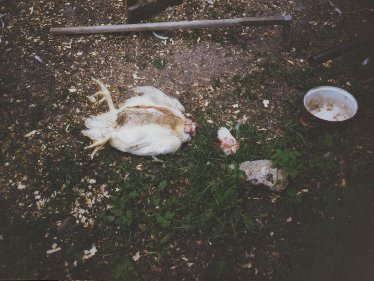 04_Kolobeh Zivota 3