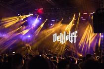 Dewolff