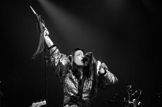 0520 Little Dragon