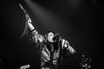 0520 Little Dragon