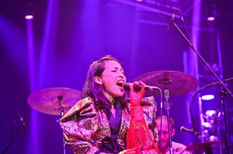 0539 Little Dragon