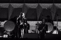 13 PJ Harvey