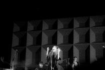 18 PJ Harvey
