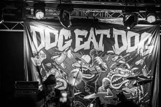 dog eat dog (5)