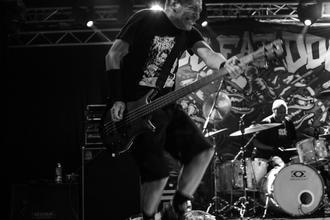 dog eat dog (7)