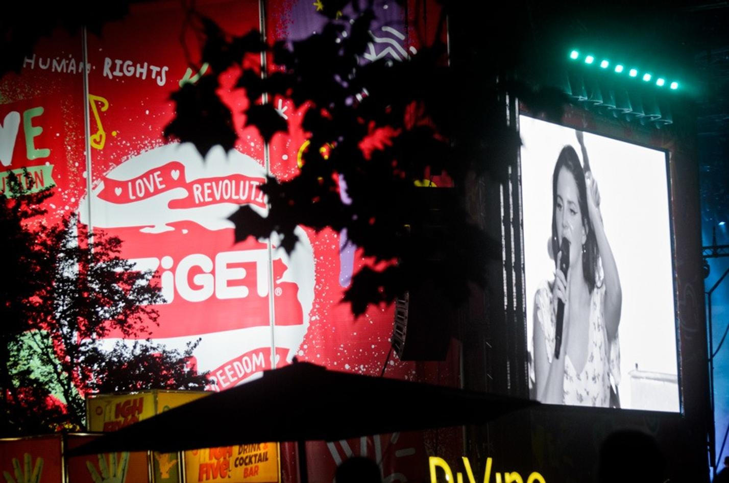 9142 Lana Del Rey