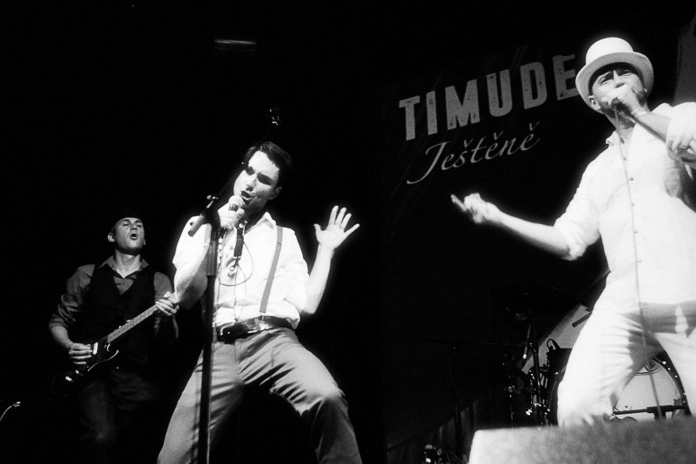Timudej-8