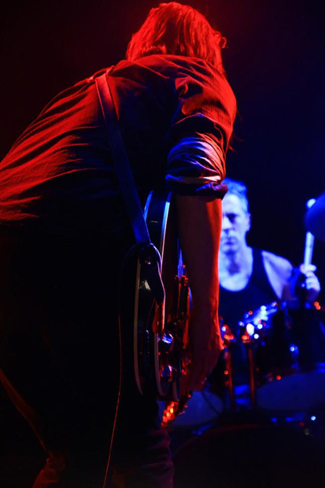 Swans
