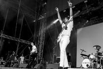 The Vaccines (3)