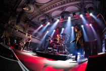 Die Artze (8)