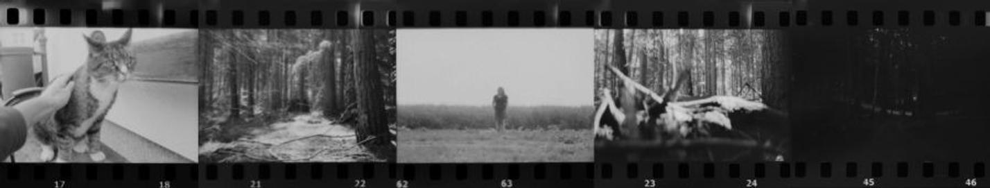 41 z filmu 2