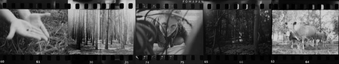 40 z filmu 1