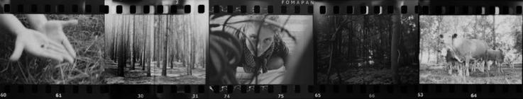 40 z filmu 1