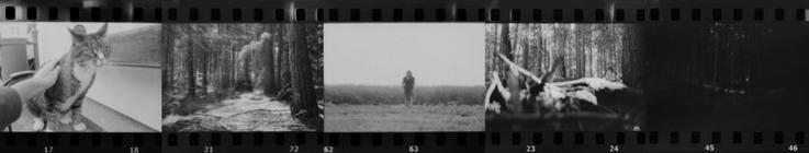 41 z filmu 2