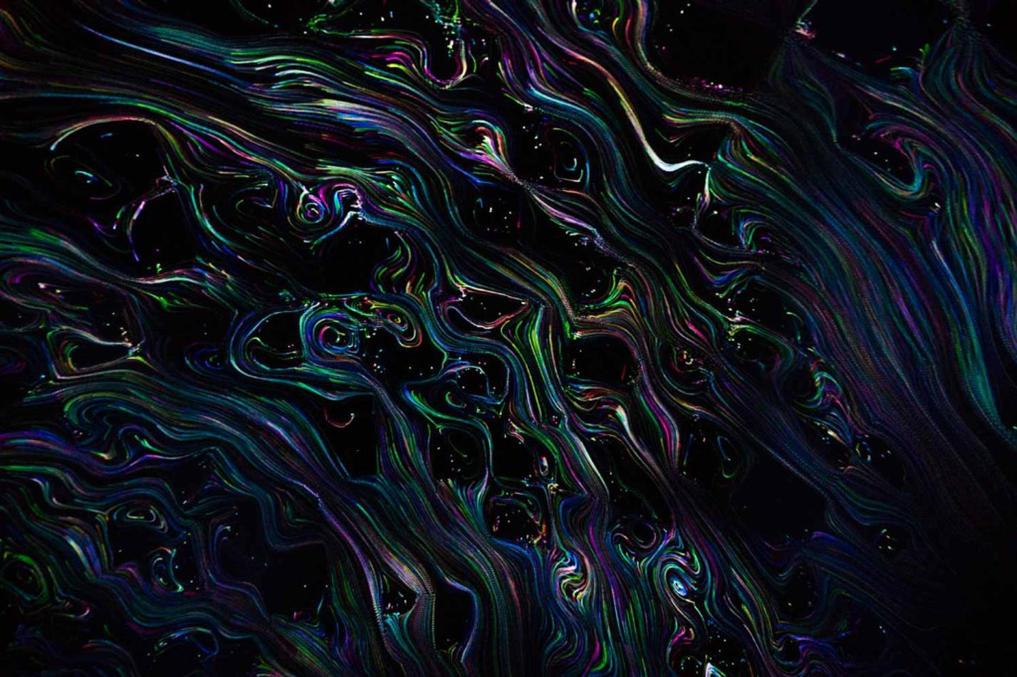 lunchmeat_pondeli_projekce5
