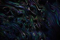 lunchmeat_pondeli_projekce5