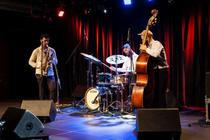 Pit Dahm trio (2)