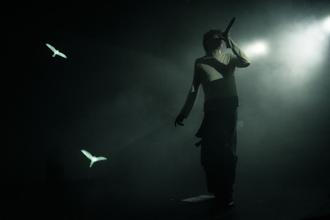 glaive